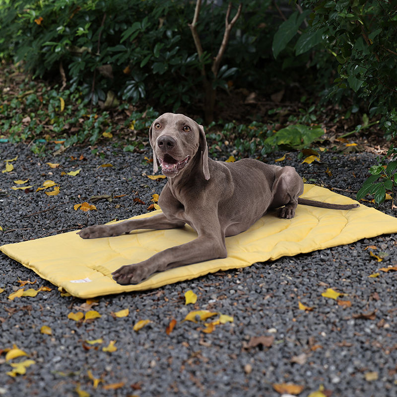 Przenośne mata dla zwierząt do – Outdoor Camping Dog Kennel recenzja i cena