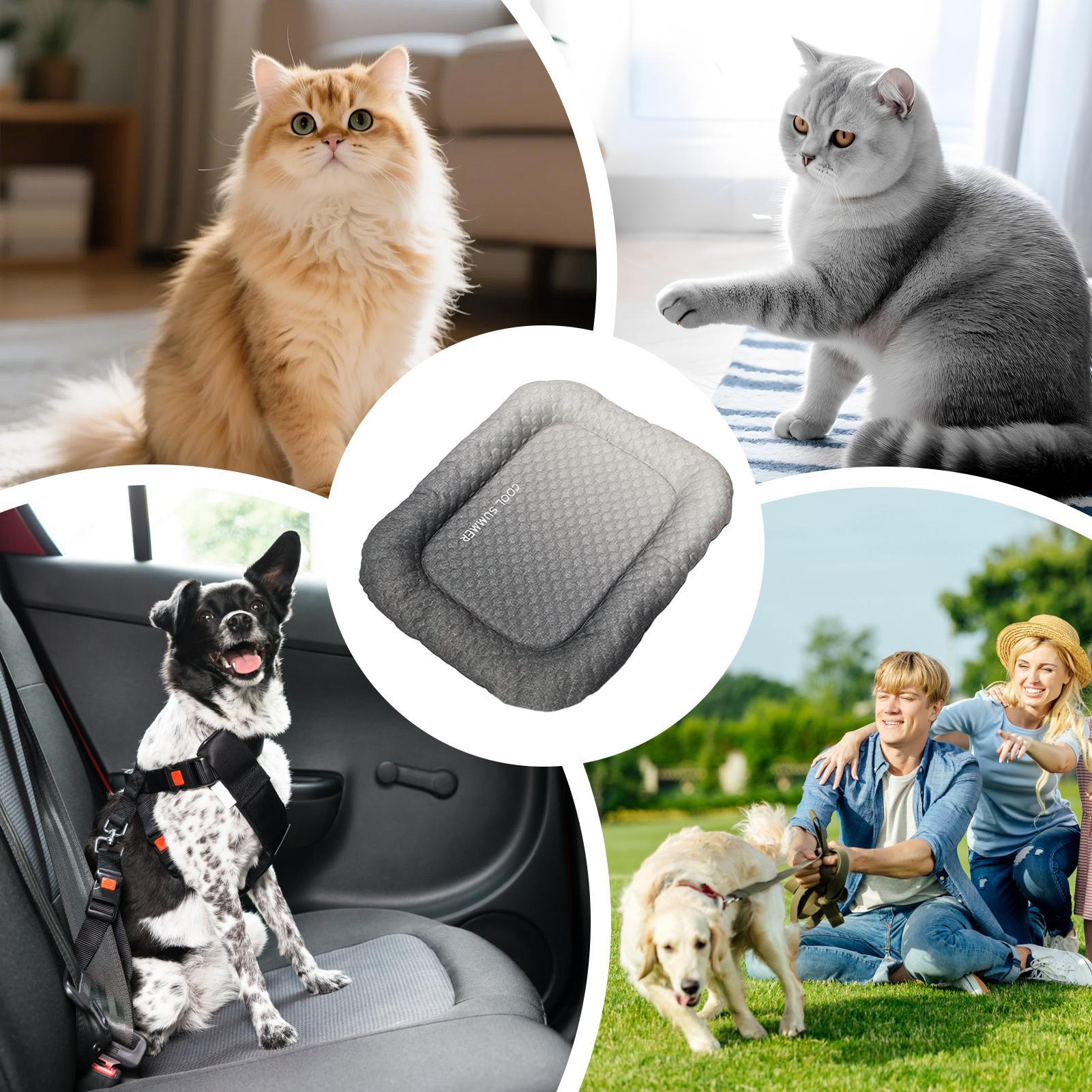 Mata chłodząca dla psa, przeno – Outdoor Camping Dog Kennel recenzja i cena