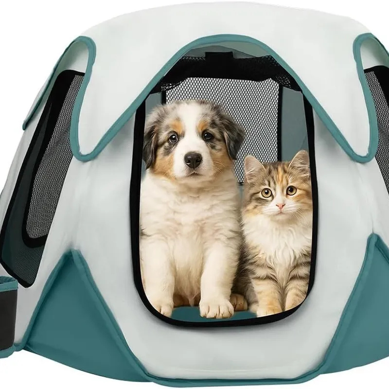 Przenośna Składana Transporter – Outdoor Camping Dog Kennel recenzja i cena